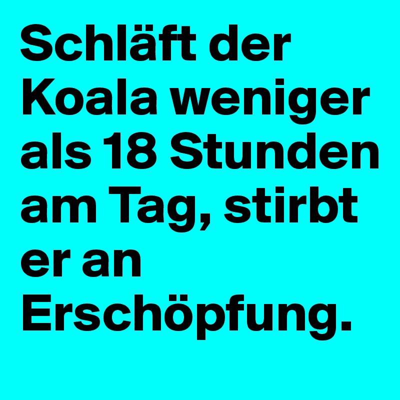 Schläft der Koala weniger als 18 Stunden am Tag, stirbt er an Erschöpfung. 