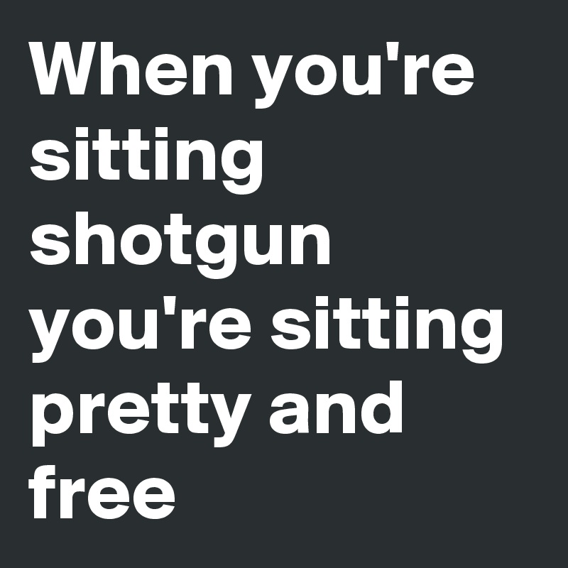 When you're sitting shotgun you're sitting pretty and free