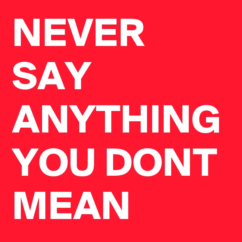 NEVER SAY ANYTHING YOU DONT MEAN