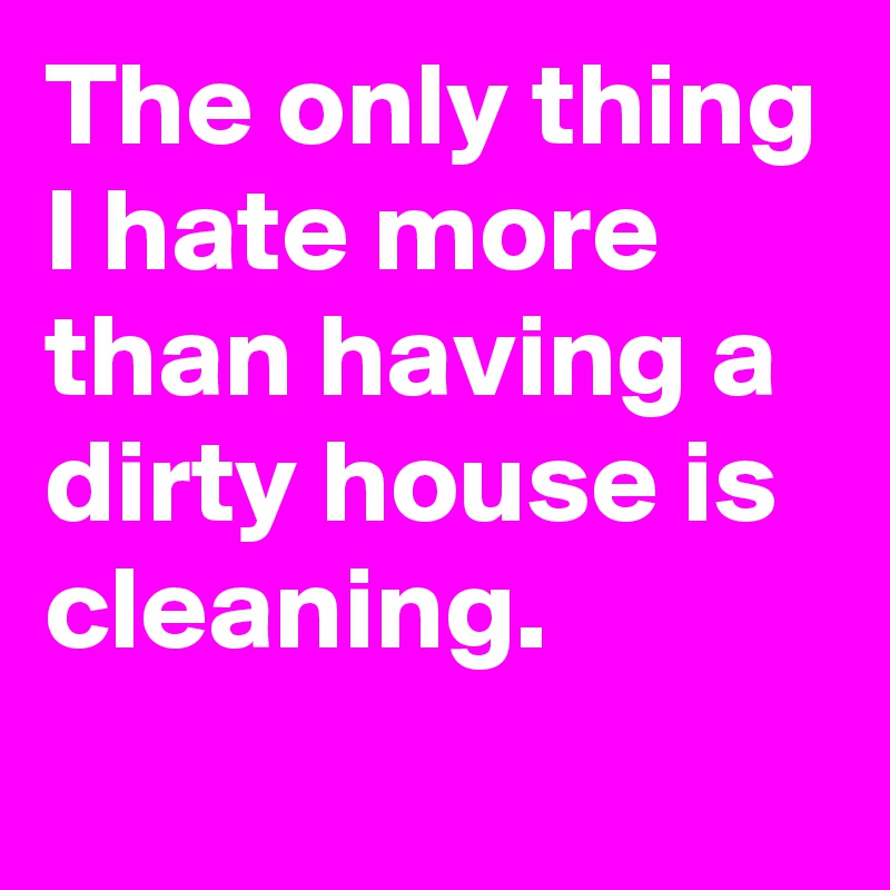 The only thing I hate more than having a dirty house is cleaning.
