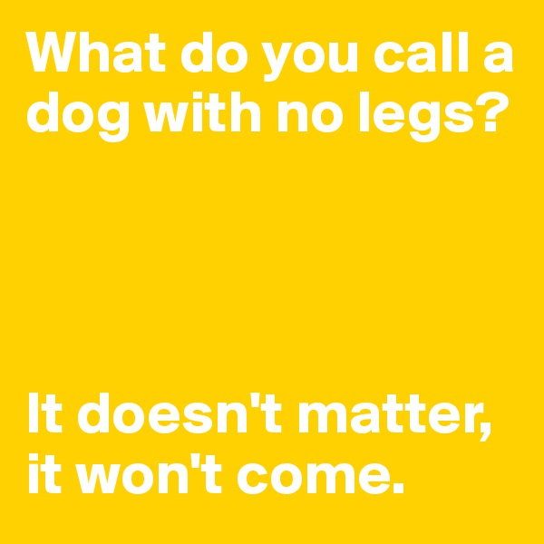 What do you call a dog with no legs?




It doesn't matter, it won't come.