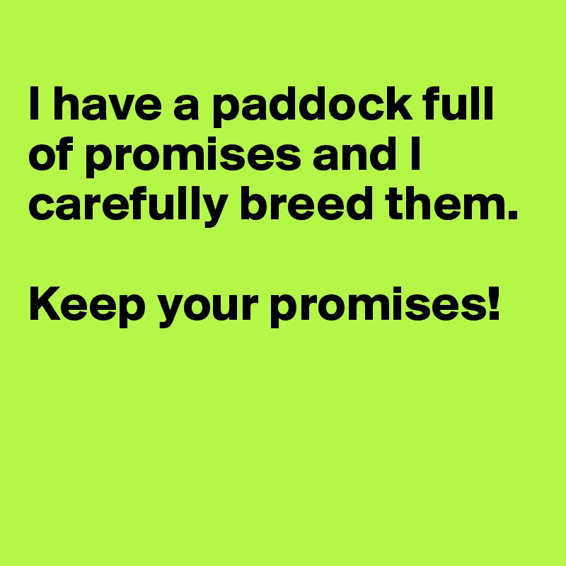 
I have a paddock full of promises and I carefully breed them. 

Keep your promises!



