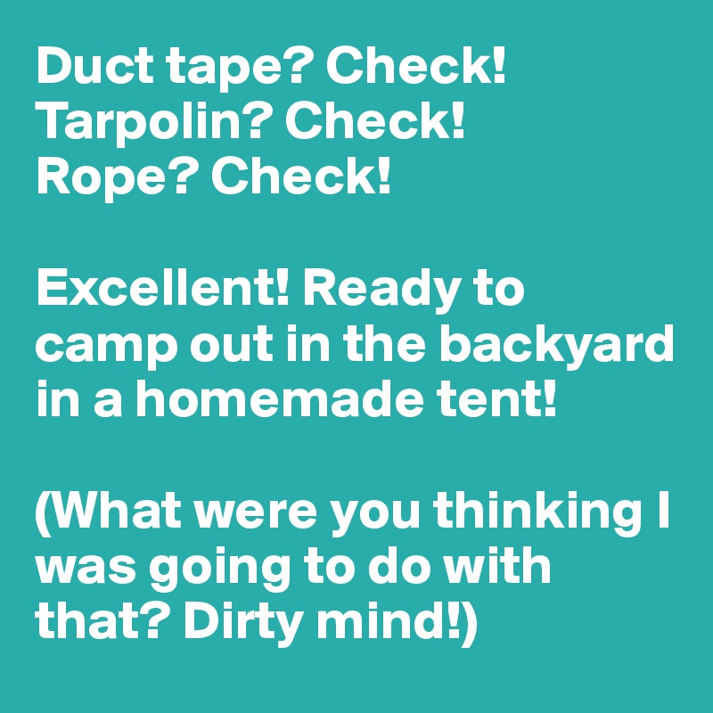 Duct tape? Check!
Tarpolin? Check!
Rope? Check!

Excellent! Ready to camp out in the backyard in a homemade tent!

(What were you thinking I was going to do with that? Dirty mind!)