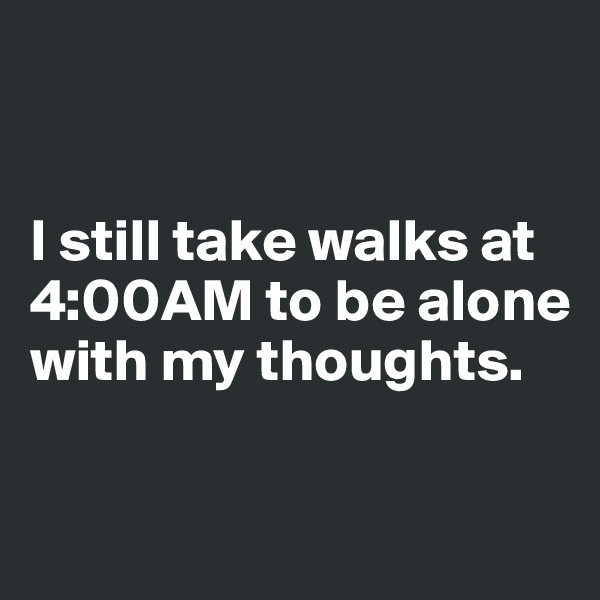 


I still take walks at 4:00AM to be alone with my thoughts.


