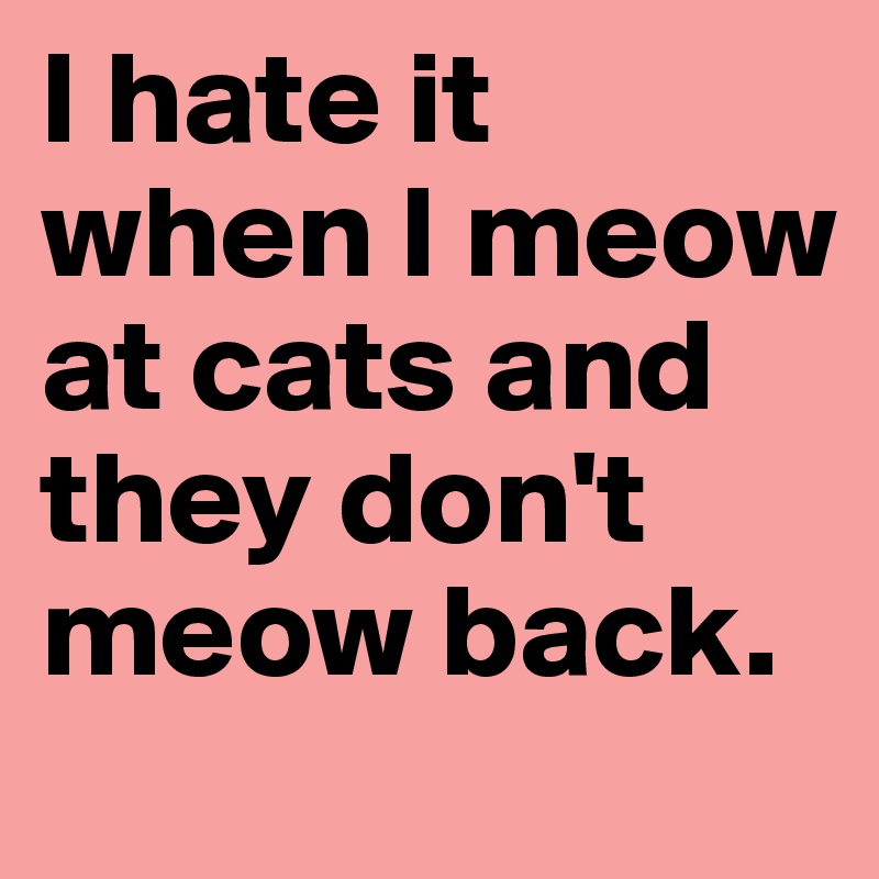 I hate it when I meow at cats and they don't meow back.