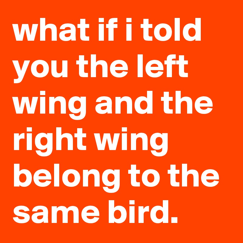 what if i told you the left wing and the right wing belong to the same bird.