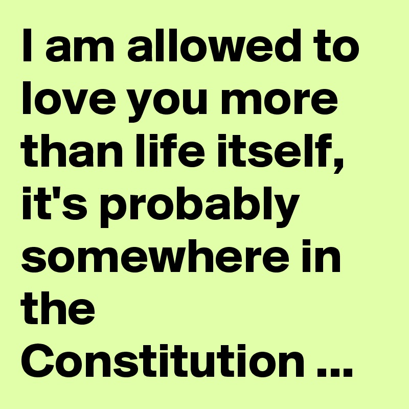 I Am Allowed To Love You More Than Life Itself It S Probably Somewhere In The Constitution Post By Chrisrota On Boldomatic