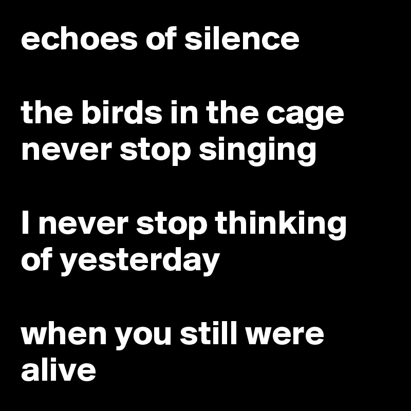 echoes of silence

the birds in the cage
never stop singing

I never stop thinking
of yesterday

when you still were alive