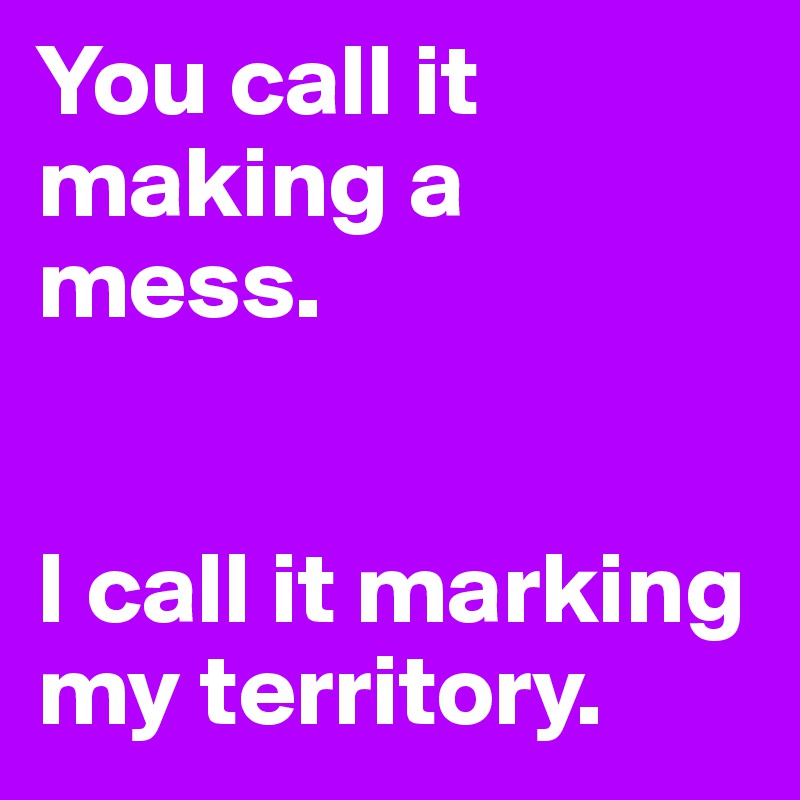 You call it making a mess. 


I call it marking my territory.