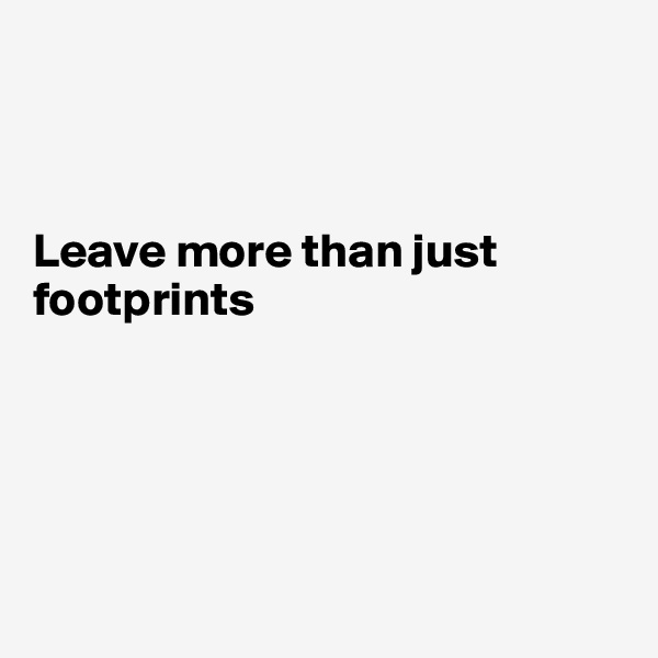 



Leave more than just footprints





