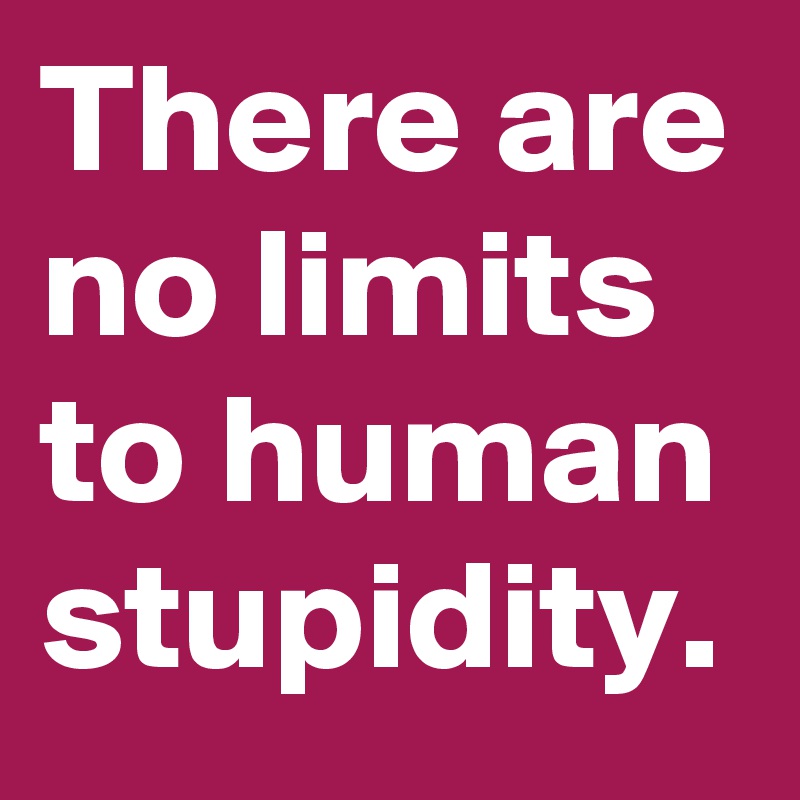 There are no limits to human stupidity.