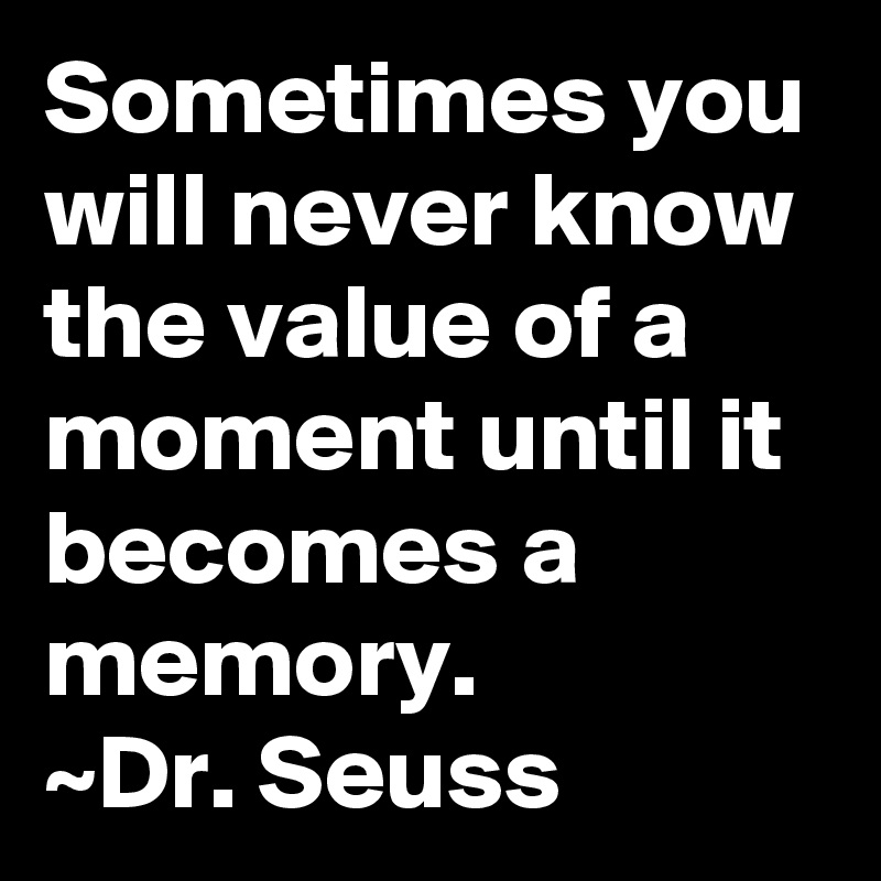 Sometimes you will never know the value of a moment until it becomes a memory.
~Dr. Seuss