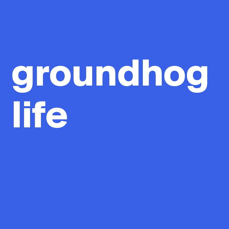  groundhog life