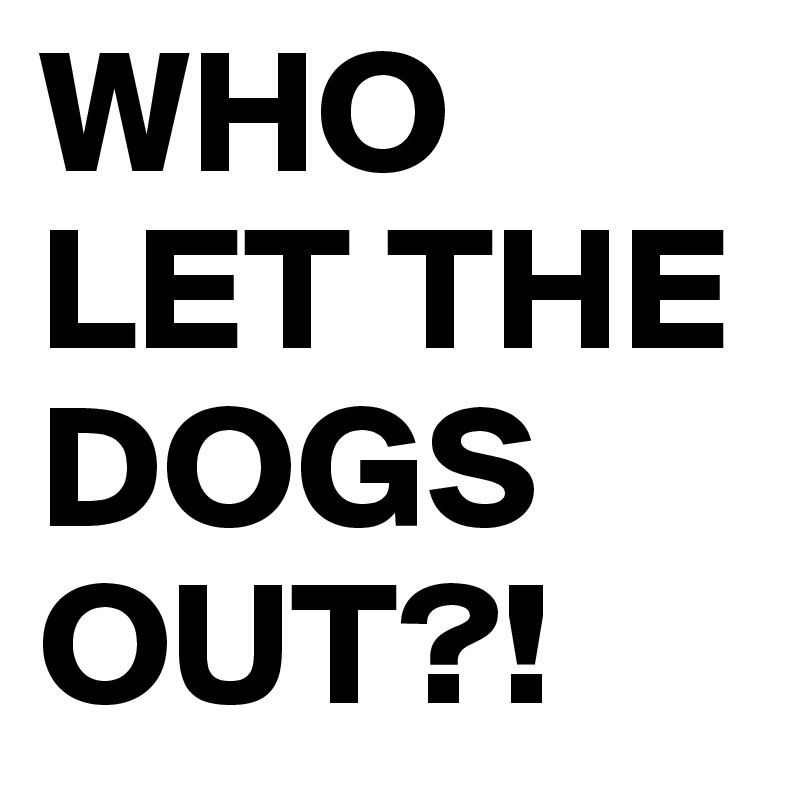 WHO LET THE DOGS OUT?!