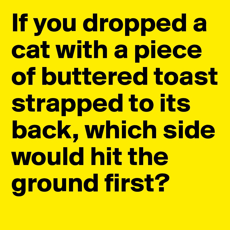 If you dropped a cat with a piece of buttered toast strapped to its back, which side would hit the ground first?
