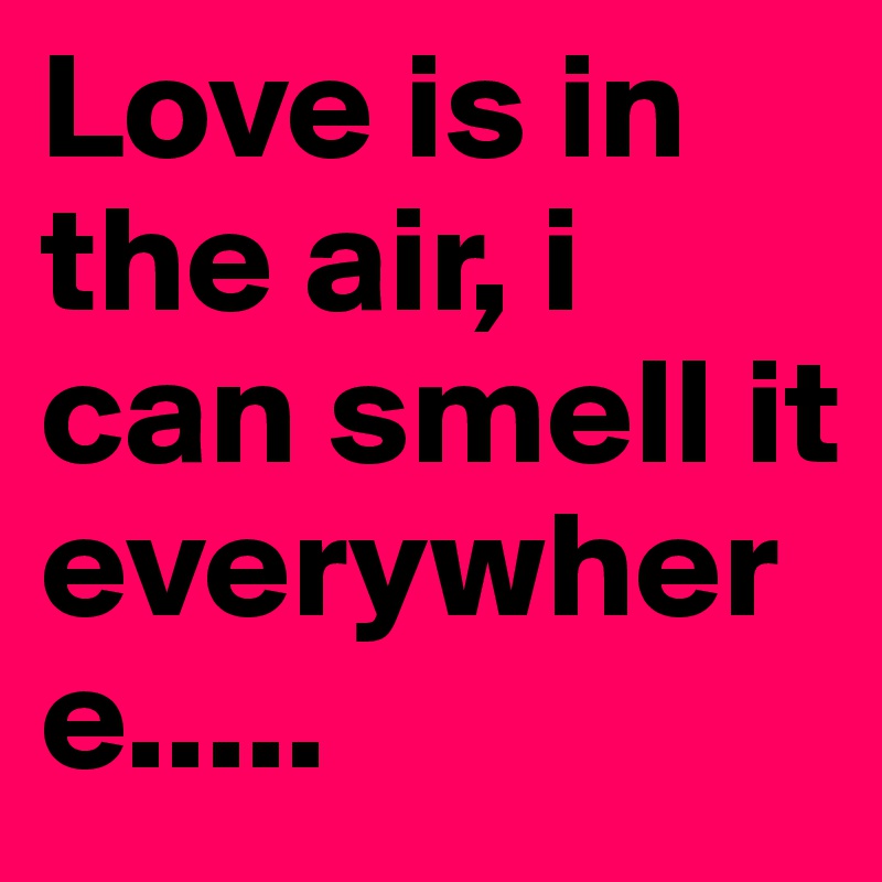 Love is in the air, i can smell it everywhere.....