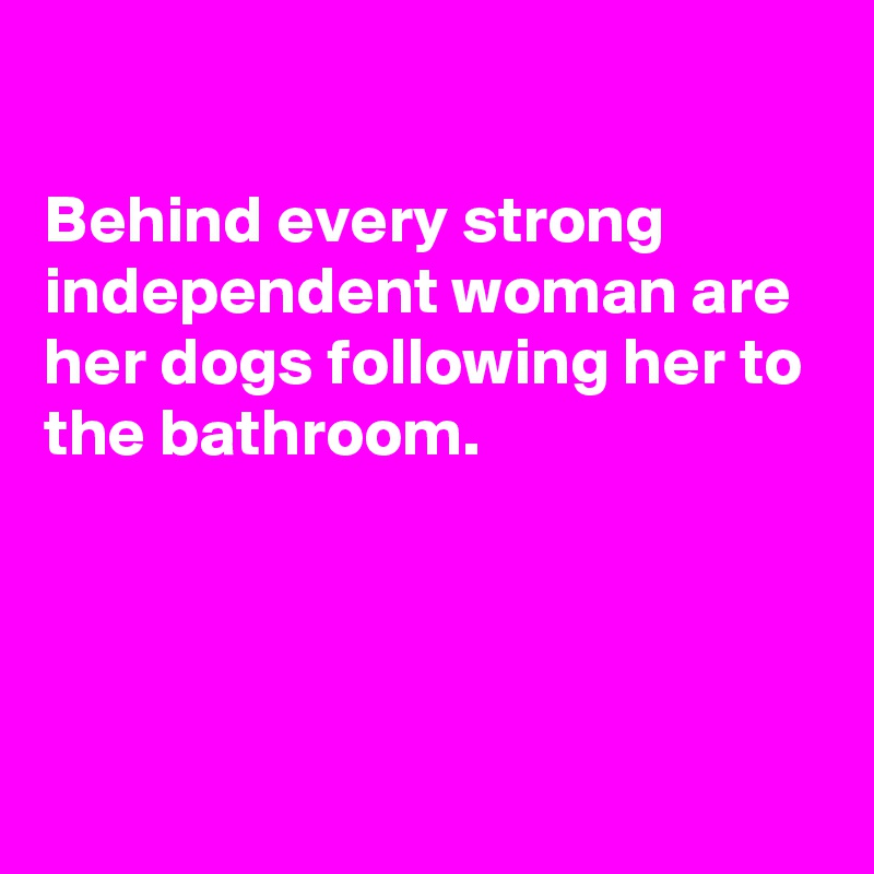 

Behind every strong  independent woman are her dogs following her to the bathroom.




