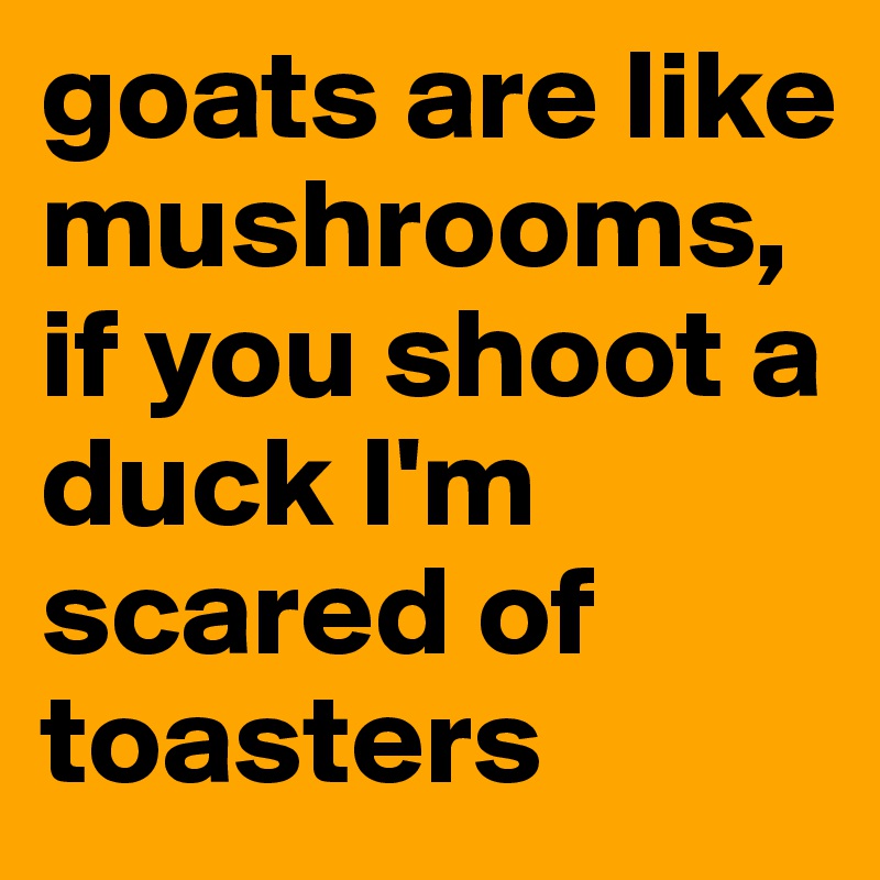 goats are like mushrooms, if you shoot a duck I'm scared of toasters