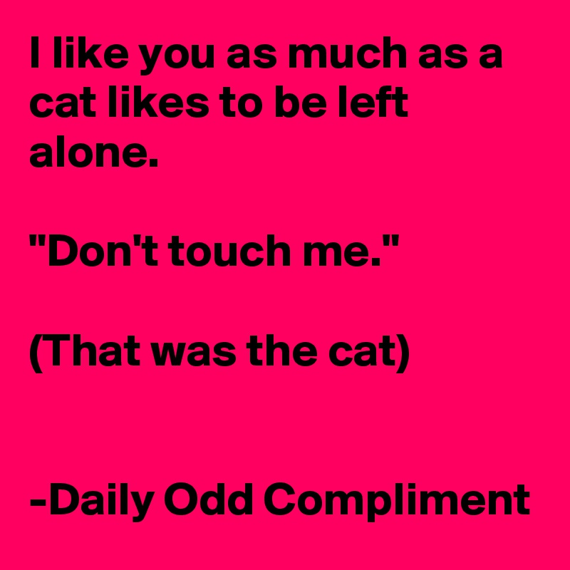 I like you as much as a cat likes to be left alone.

"Don't touch me."

(That was the cat)


-Daily Odd Compliment