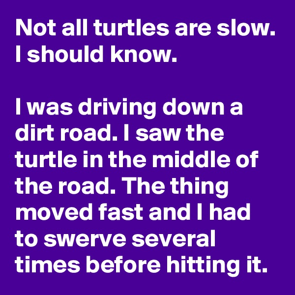 Not all turtles are slow. I should know.

I was driving down a dirt road. I saw the turtle in the middle of the road. The thing moved fast and I had to swerve several times before hitting it.