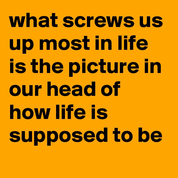 what screws us up most in life is the picture in our head of how life is supposed to be