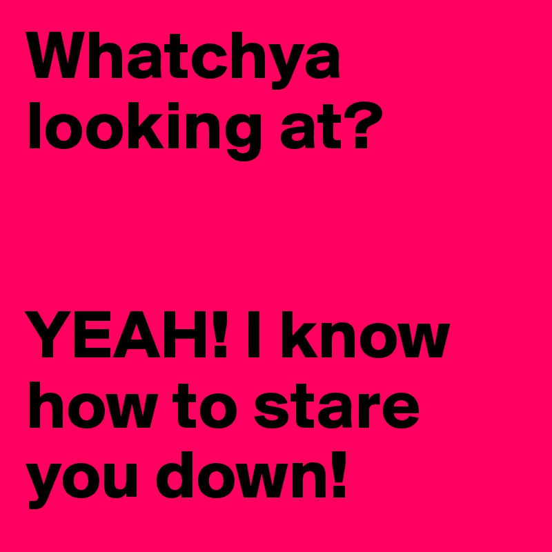 Whatchya looking at?


YEAH! I know how to stare you down!