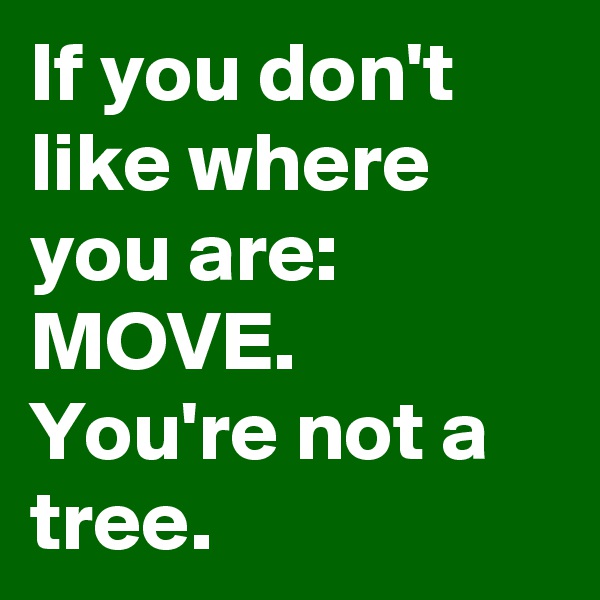 If you don't like where you are: MOVE. 
You're not a tree. 