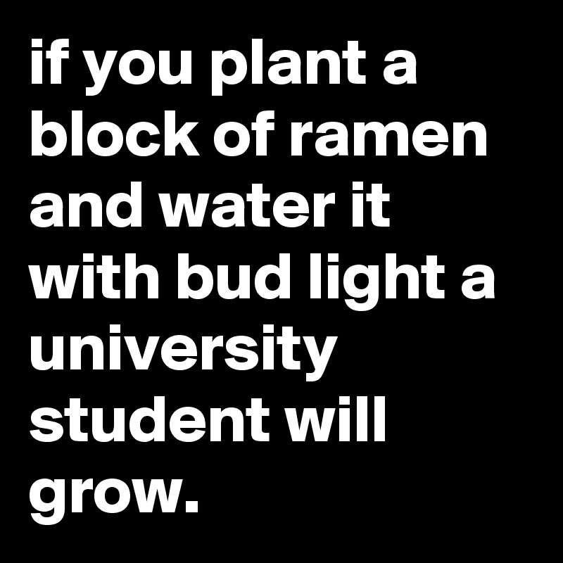 if you plant a block of ramen and water it with bud light a university student will grow.