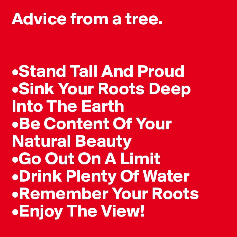 Advice from a tree.


•Stand Tall And Proud
•Sink Your Roots Deep Into The Earth
•Be Content Of Your Natural Beauty
•Go Out On A Limit
•Drink Plenty Of Water
•Remember Your Roots
•Enjoy The View!