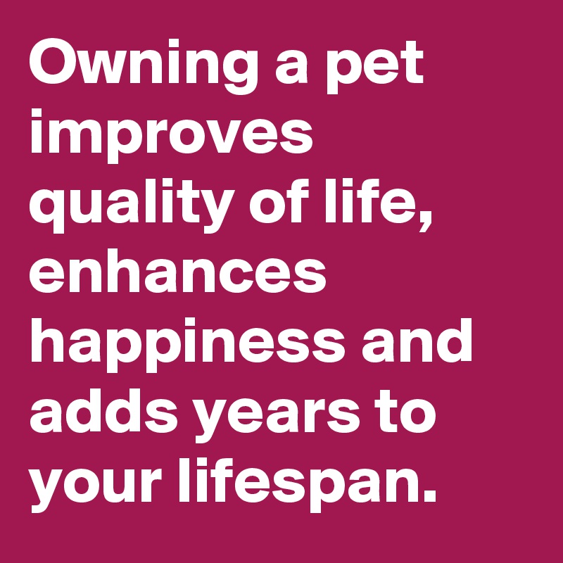 Owning a pet improves quality of life, enhances happiness and adds years to your lifespan.
