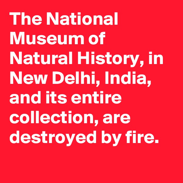 The National Museum of Natural History, in New Delhi, India, and its entire collection, are destroyed by fire.