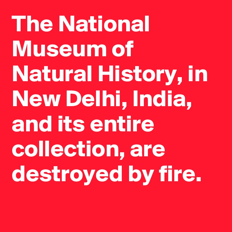 The National Museum of Natural History, in New Delhi, India, and its entire collection, are destroyed by fire.