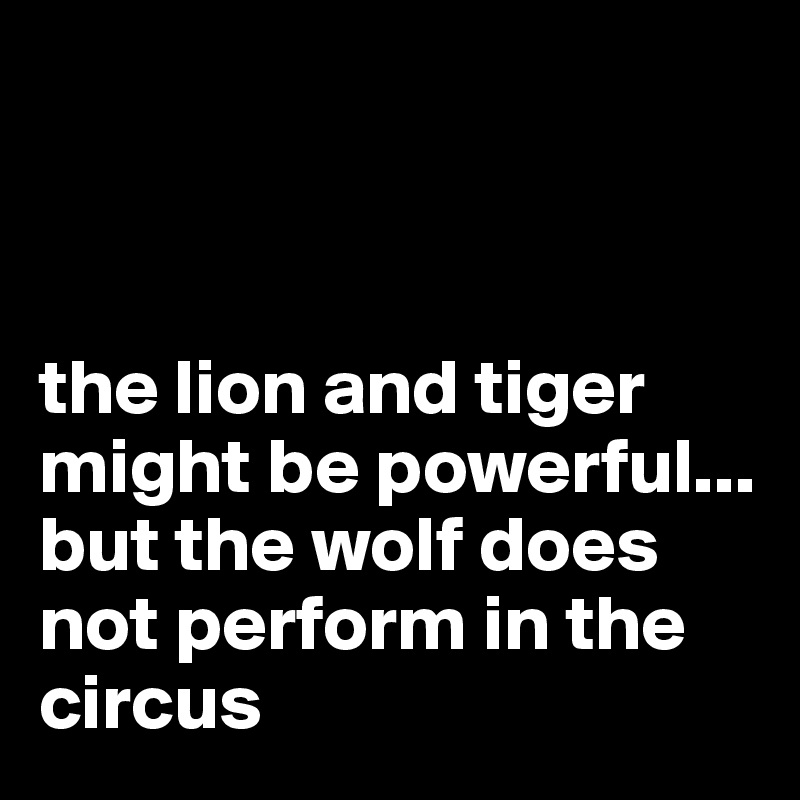 



the lion and tiger might be powerful... 
but the wolf does not perform in the circus