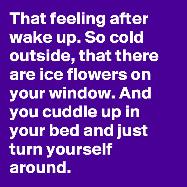 That feeling after wake up. So cold outside, that there are ice flowers on your window. And you cuddle up in your bed and just turn yourself around.