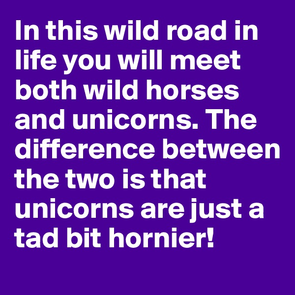 In this wild road in life you will meet both wild horses and unicorns. The difference between the two is that unicorns are just a tad bit hornier!