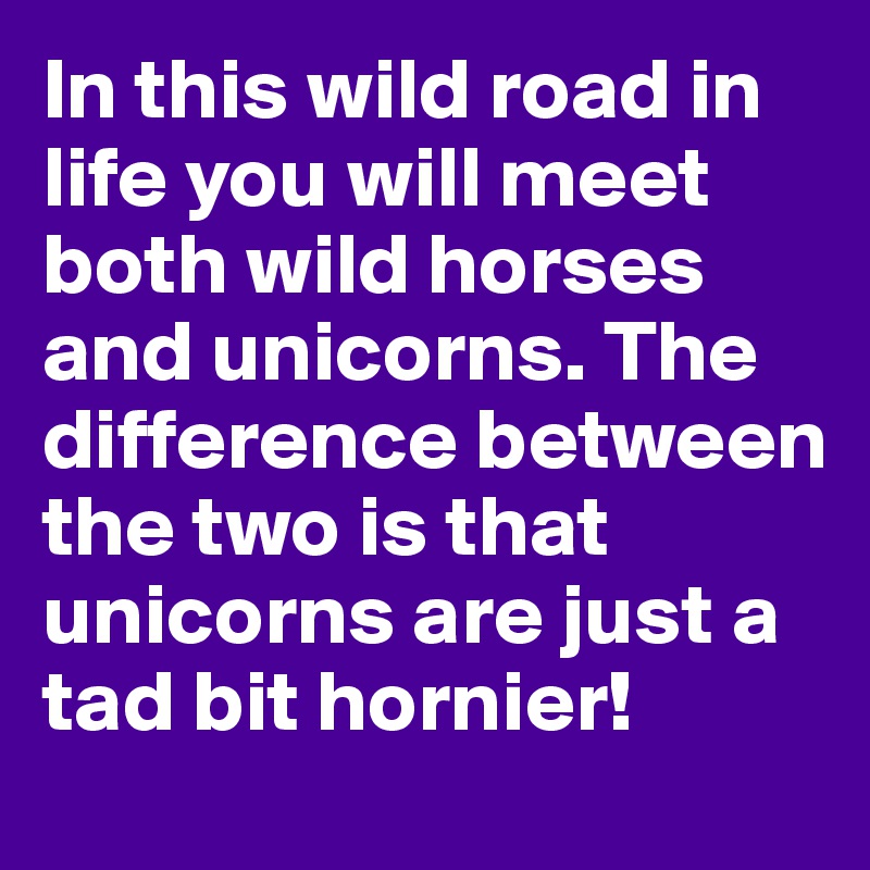 In this wild road in life you will meet both wild horses and unicorns. The difference between the two is that unicorns are just a tad bit hornier!