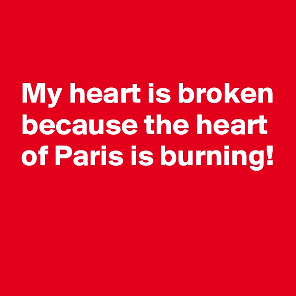 

 My heart is broken
 because the heart
 of Paris is burning!


