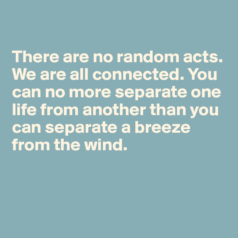 

There are no random acts. We are all connected. You can no more separate one life from another than you can separate a breeze from the wind.




