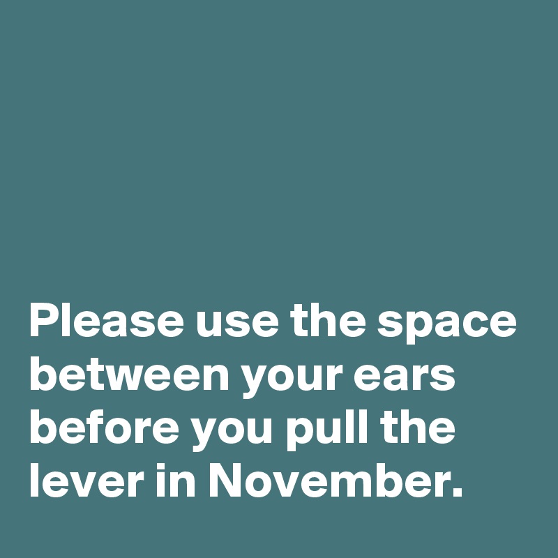 




Please use the space between your ears before you pull the lever in November. 