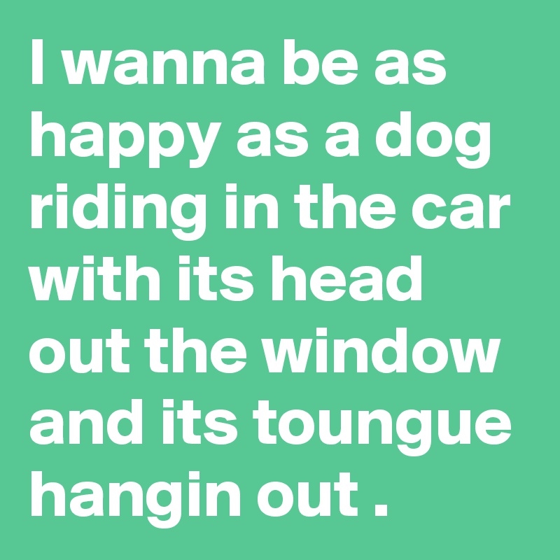 I wanna be as happy as a dog riding in the car with its head out the window and its toungue hangin out .