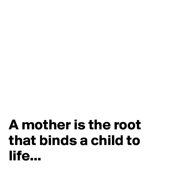






A mother is the root that binds a child to life...