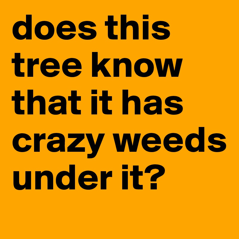 does this tree know that it has crazy weeds under it?