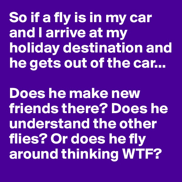 So if a fly is in my car and I arrive at my holiday destination and he gets out of the car... 

Does he make new friends there? Does he understand the other flies? Or does he fly around thinking WTF?