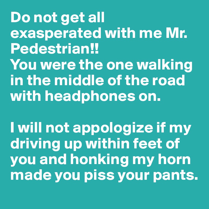 Do not get all exasperated with me Mr. Pedestrian!! 
You were the one walking in the middle of the road with headphones on. 

I will not appologize if my driving up within feet of you and honking my horn made you piss your pants. 