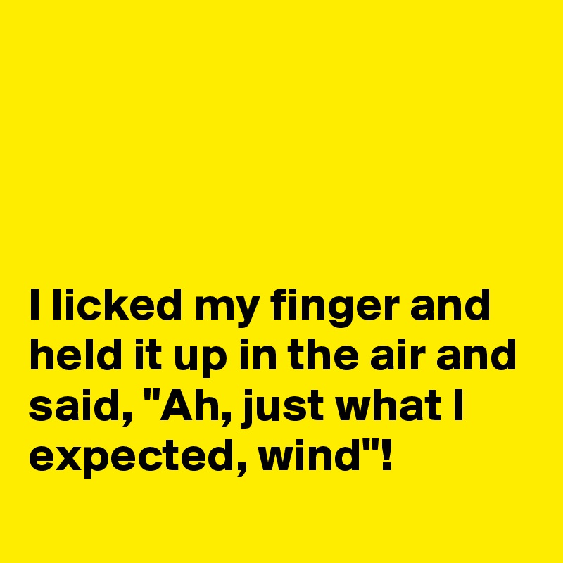 




I licked my finger and held it up in the air and said, "Ah, just what I expected, wind"!