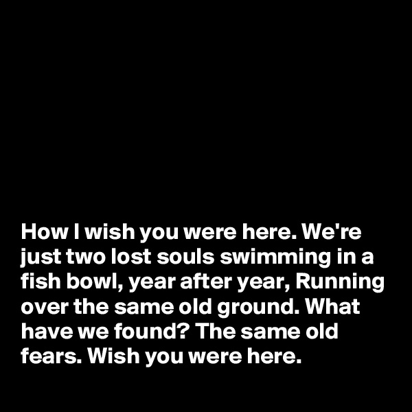 







How I wish you were here. We're just two lost souls swimming in a fish bowl, year after year, Running over the same old ground. What have we found? The same old fears. Wish you were here.