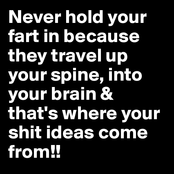 Never hold your fart in because they travel up your spine, into your brain & that's where your shit ideas come from!!