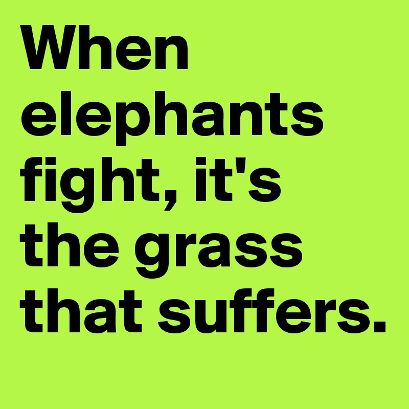 When elephants fight, it's the grass that suffers.