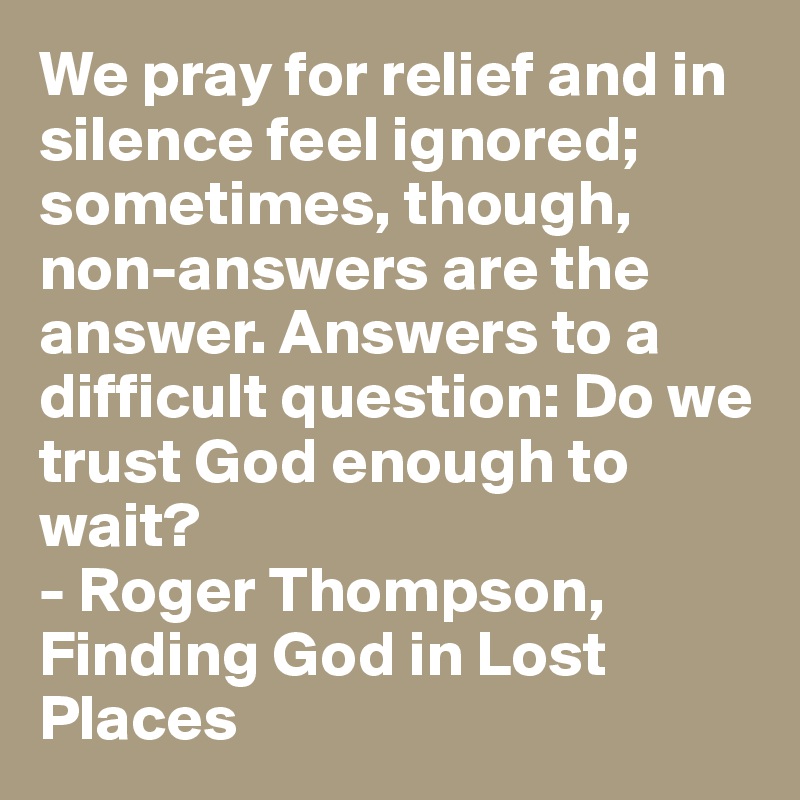 We pray for relief and in silence feel ignored; sometimes, though, non-answers are the answer. Answers to a difficult question: Do we trust God enough to wait?
- Roger Thompson, Finding God in Lost Places