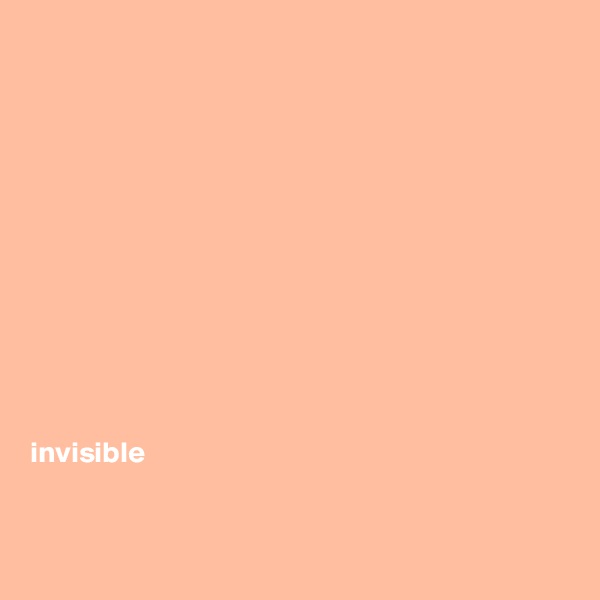 












invisible


